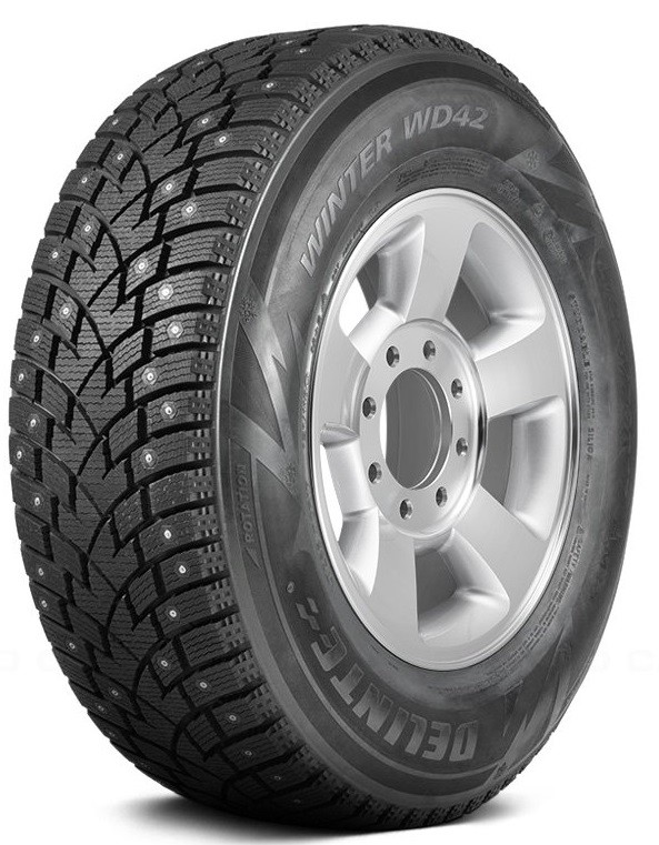 Delinte Winter WD42 (1)